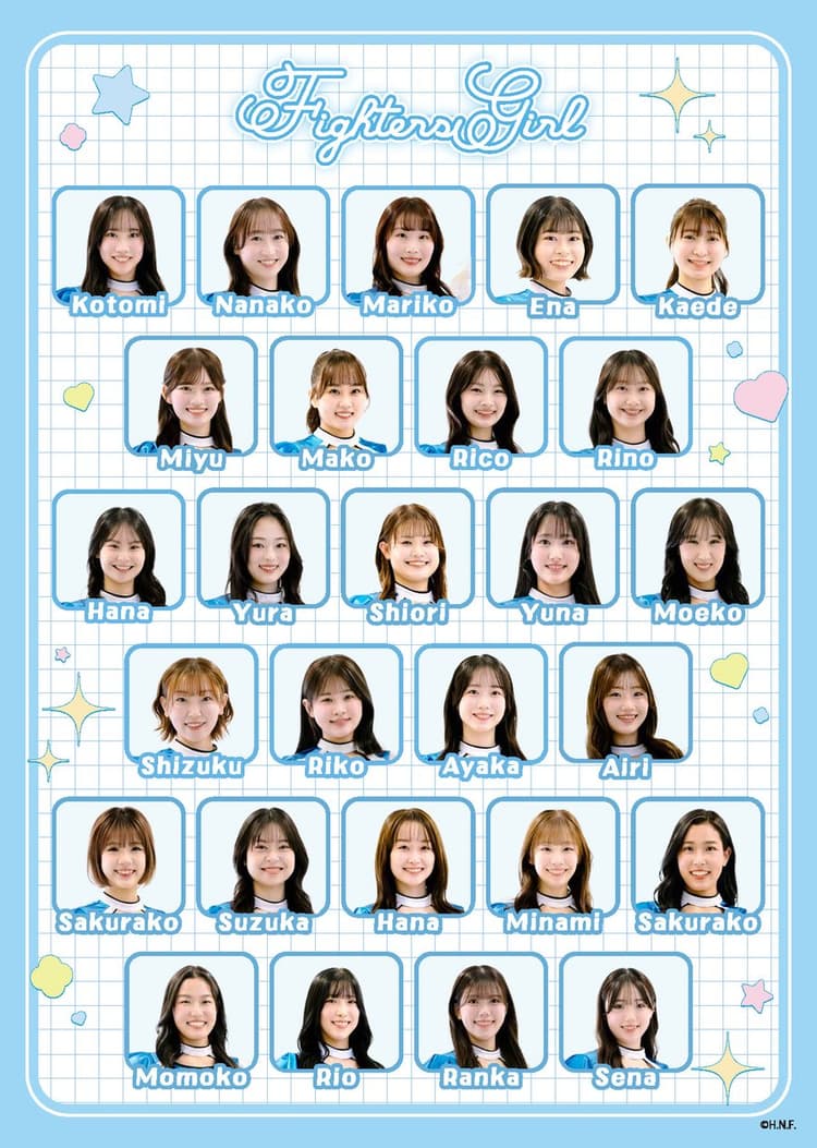 ファイターズガール集合ポスター