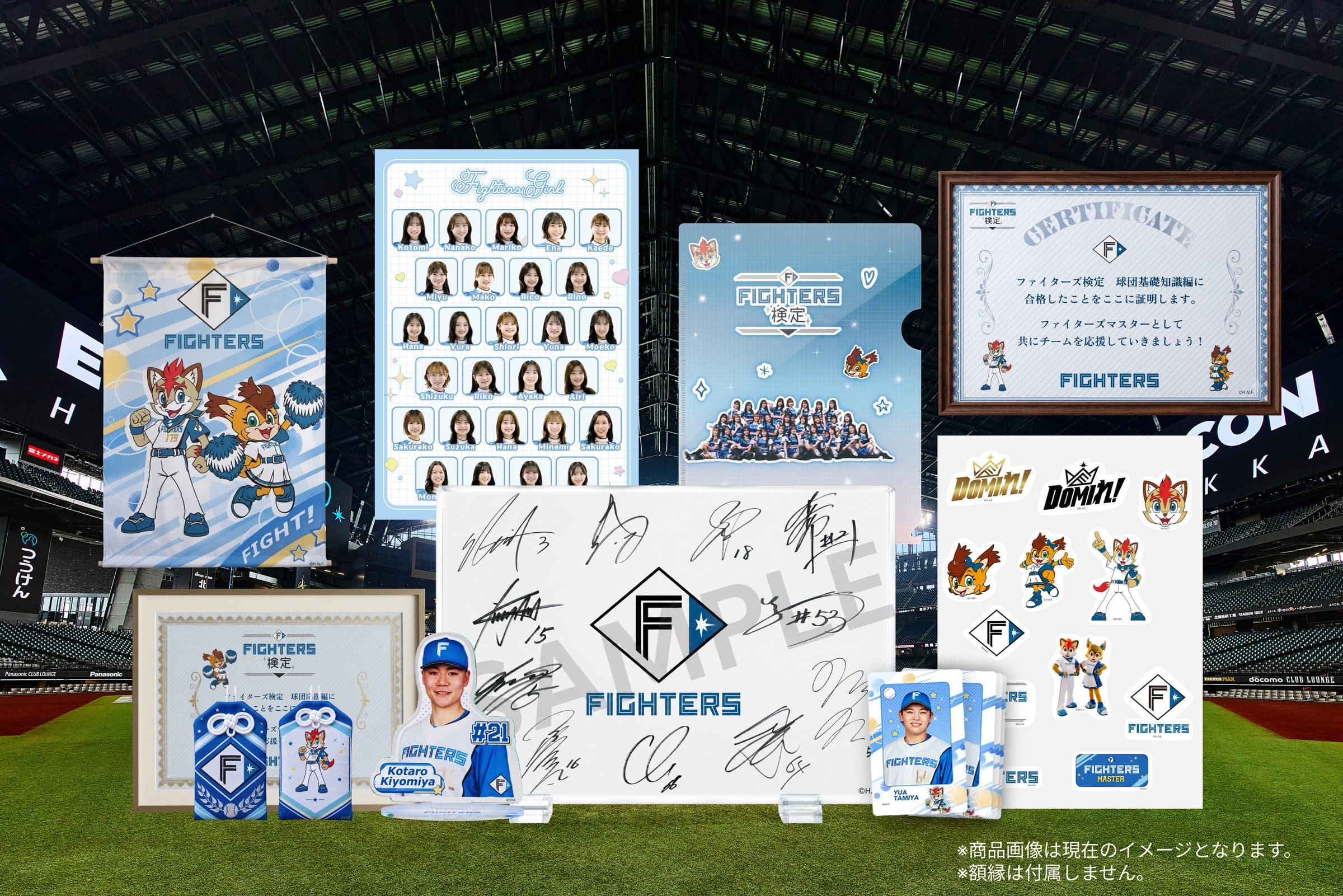 FIGHTERS検定の特典グッズ一覧。ファイターズマスコットタペストリー、ファイターズガール集合ポスター、ファイターズガールクリアファイル、合格賞状、ファイターズ集合ステッカー、ファイターズ勝守り、選手会長アクリルスタンド、選手プリントサイン入りアクリルスタンド、選手ランダムカード2枚セット